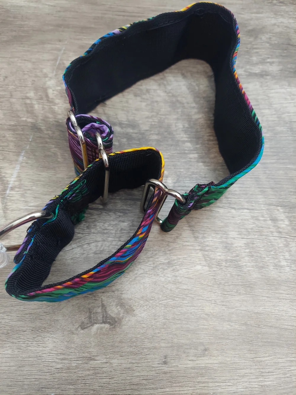Custom Martingale Dog Collar 2